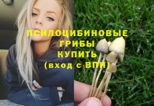 индика Армянск