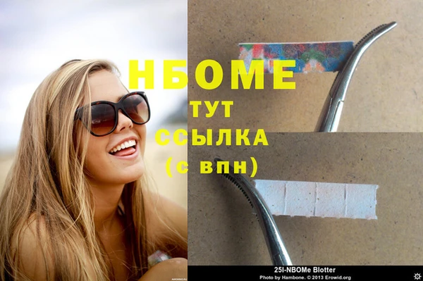индика Армянск