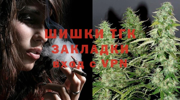 индика Армянск