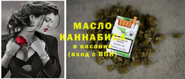 индика Армянск