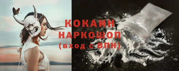 индика Армянск