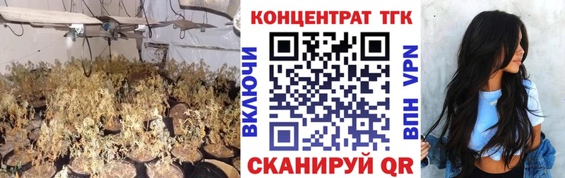 ТГК жижа  Ядрин 