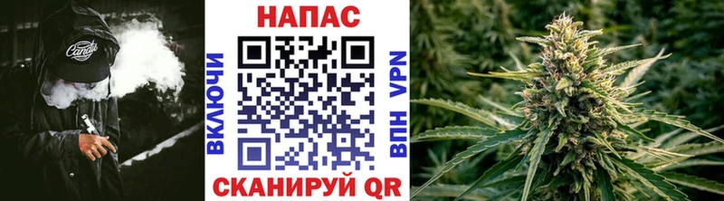 Марихуана сатива  hydra рабочий сайт  Ядрин 